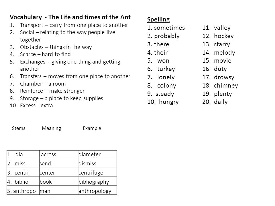 spelling 1 almost 11 amaze 2 doesn t