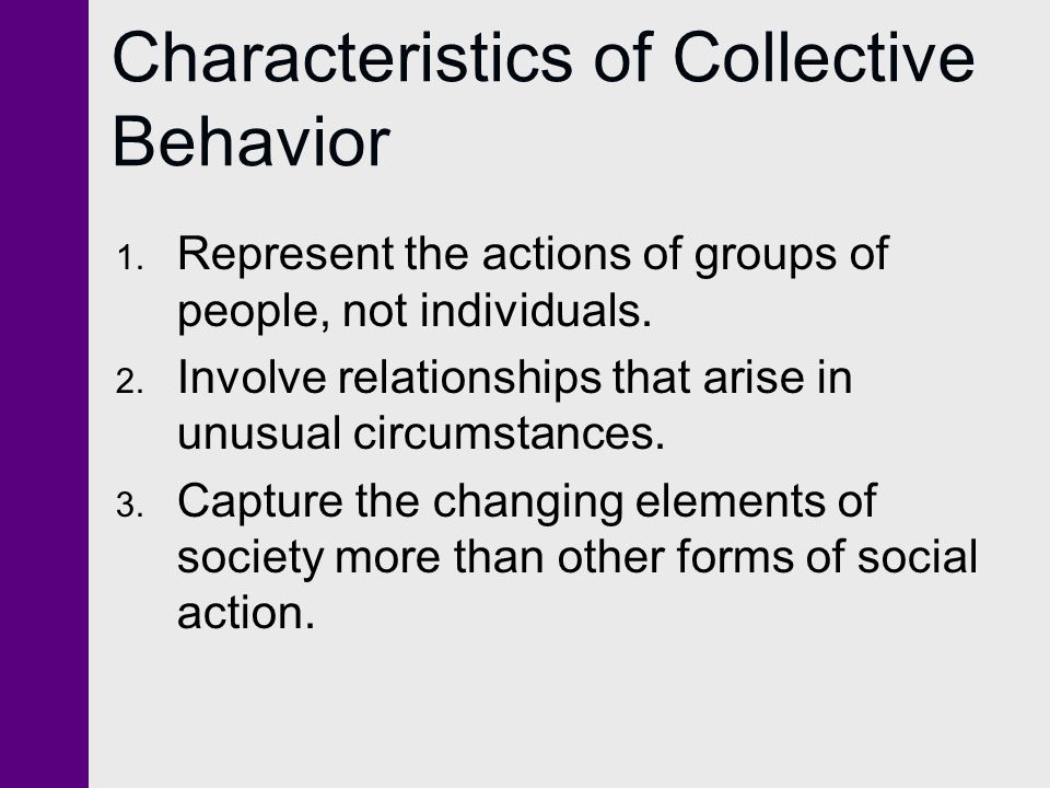 collective behavior examples