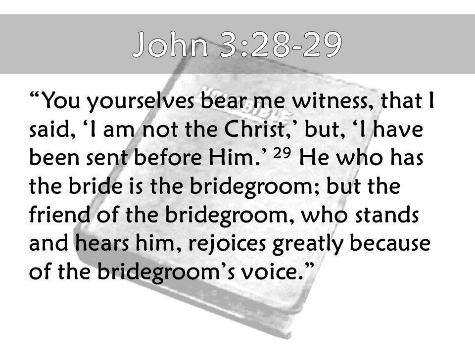 John 3:28-29