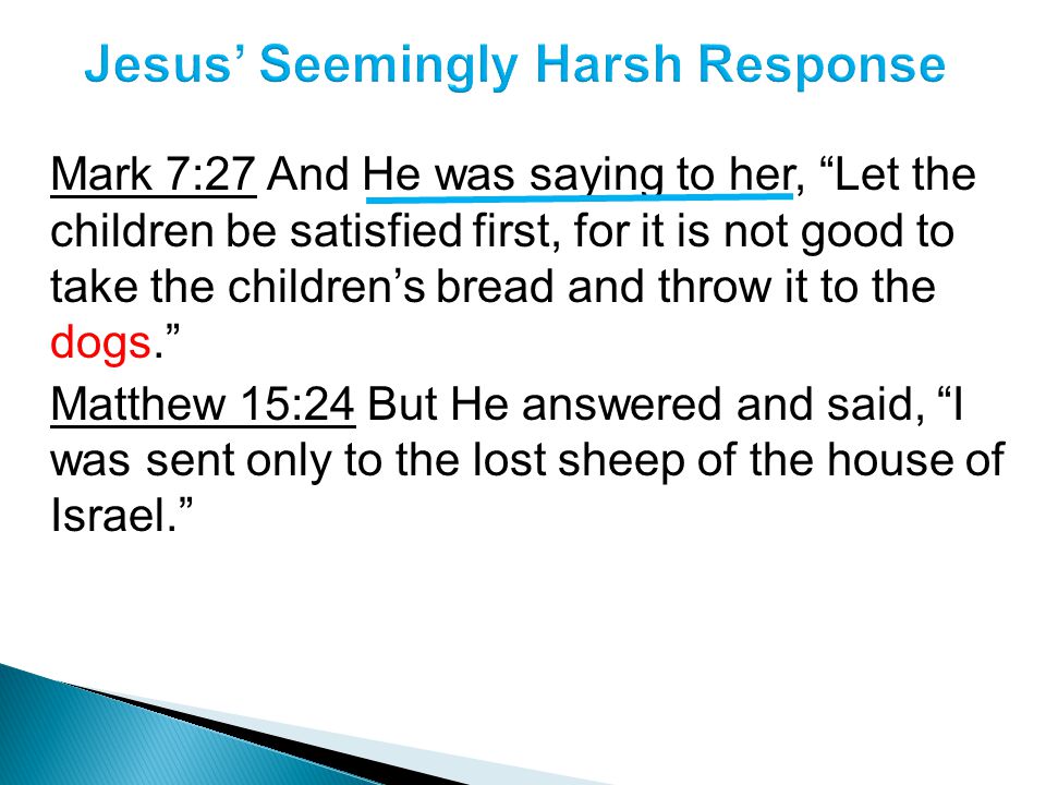 Jesus’ Seemingly Harsh Response