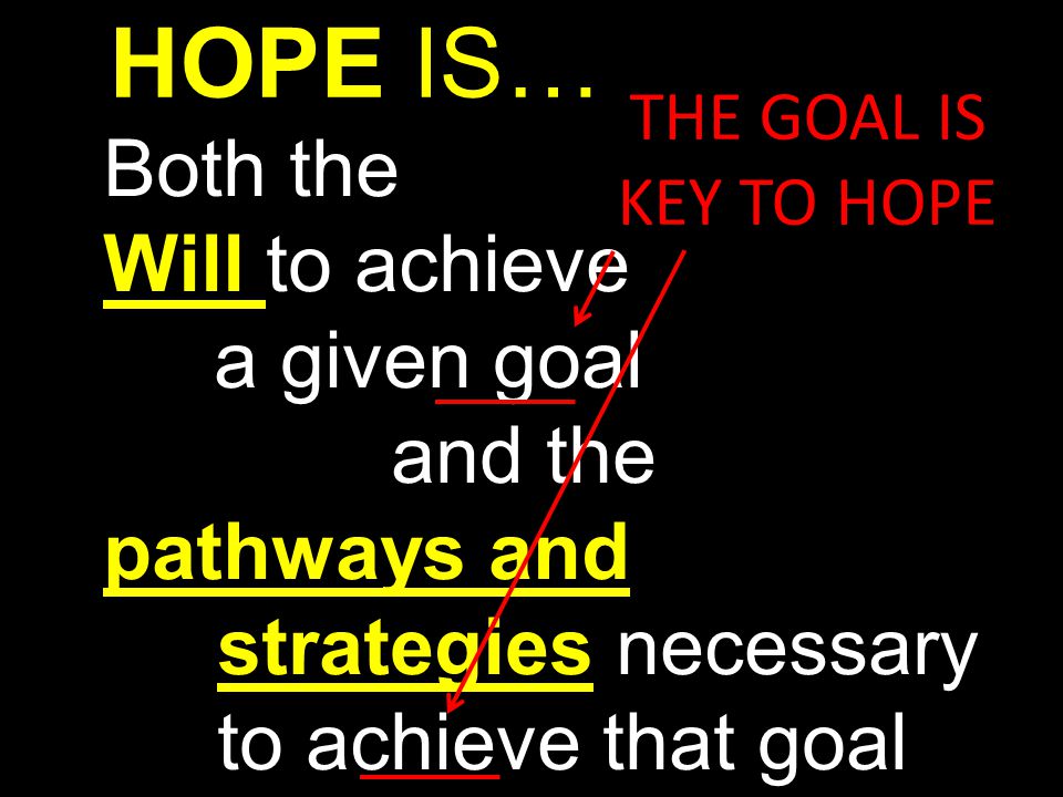 HOPE IS… Both the Will to achieve a given goal and the