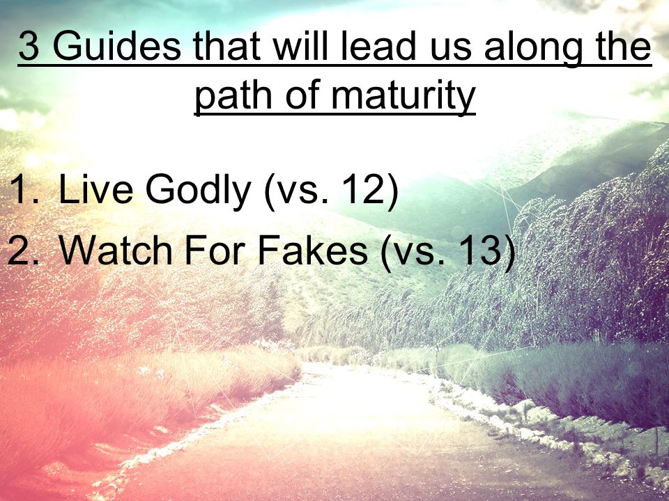 3 Guides that will lead us along the path of maturity