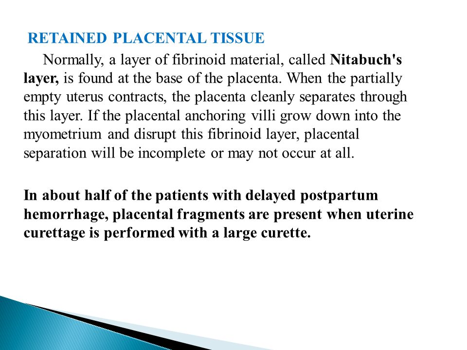 RETAINED PLACENTAL TISSUE Normally, a layer of fibrinoid material, called Nitabuch s layer, is found at the base of the placenta.