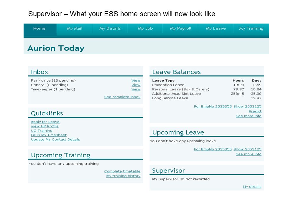 Supervisor – What your ESS home screen will now look like
