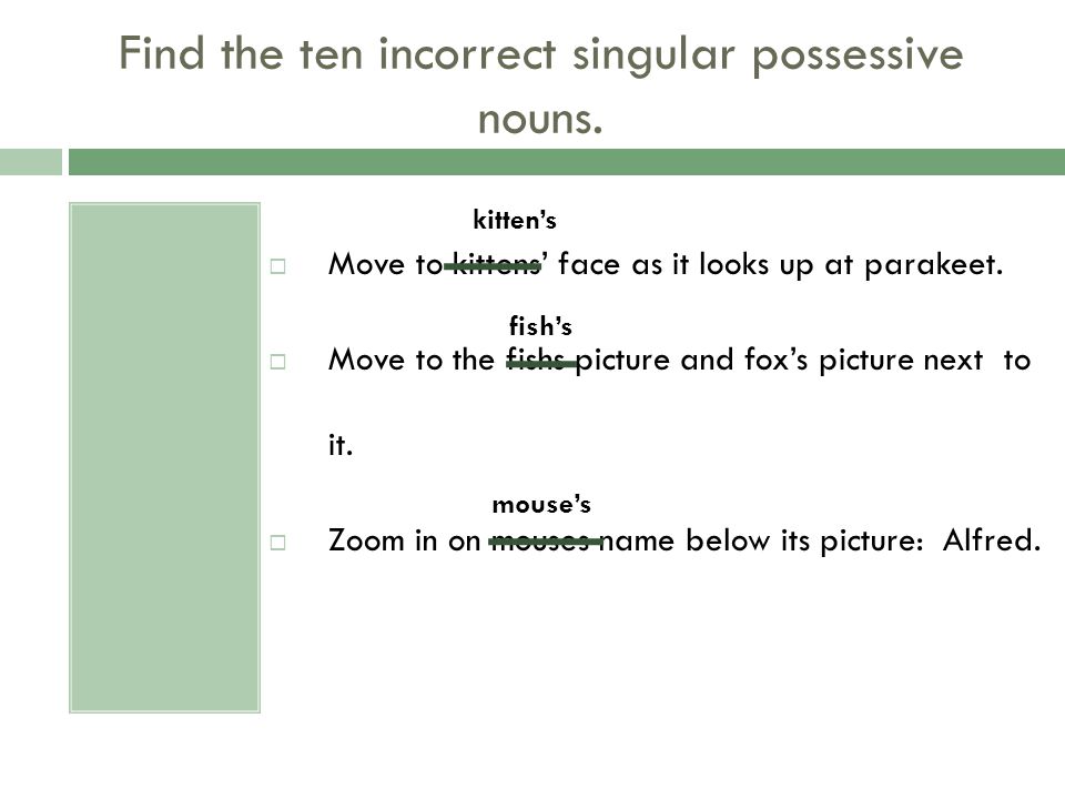Find the ten incorrect singular possessive nouns.