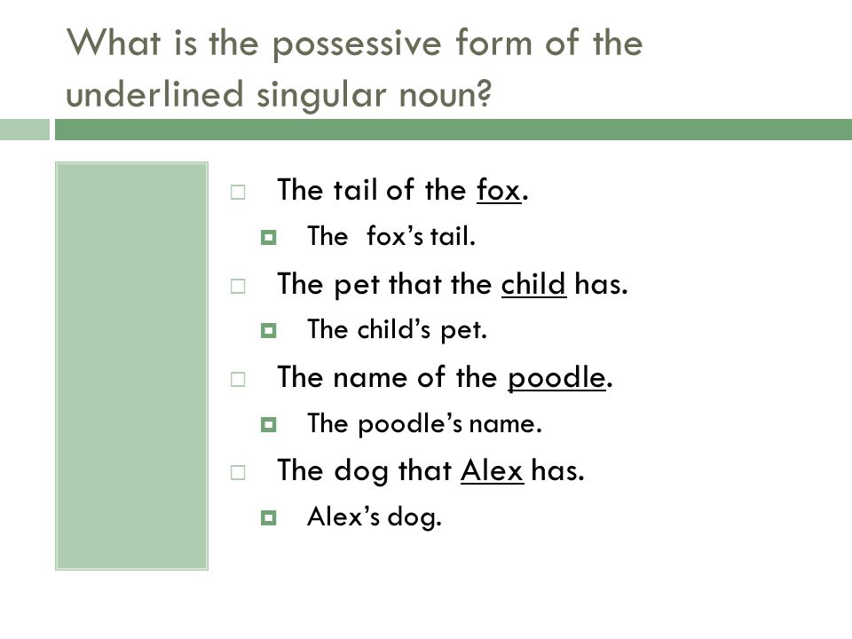 What is the possessive form of the underlined singular noun