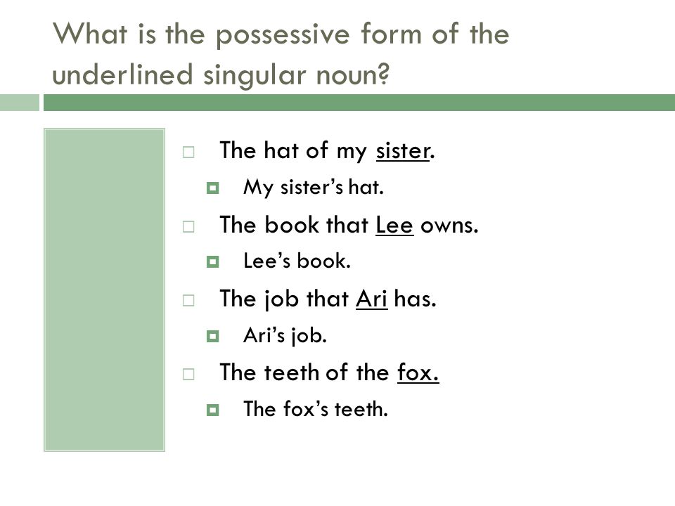 What is the possessive form of the underlined singular noun