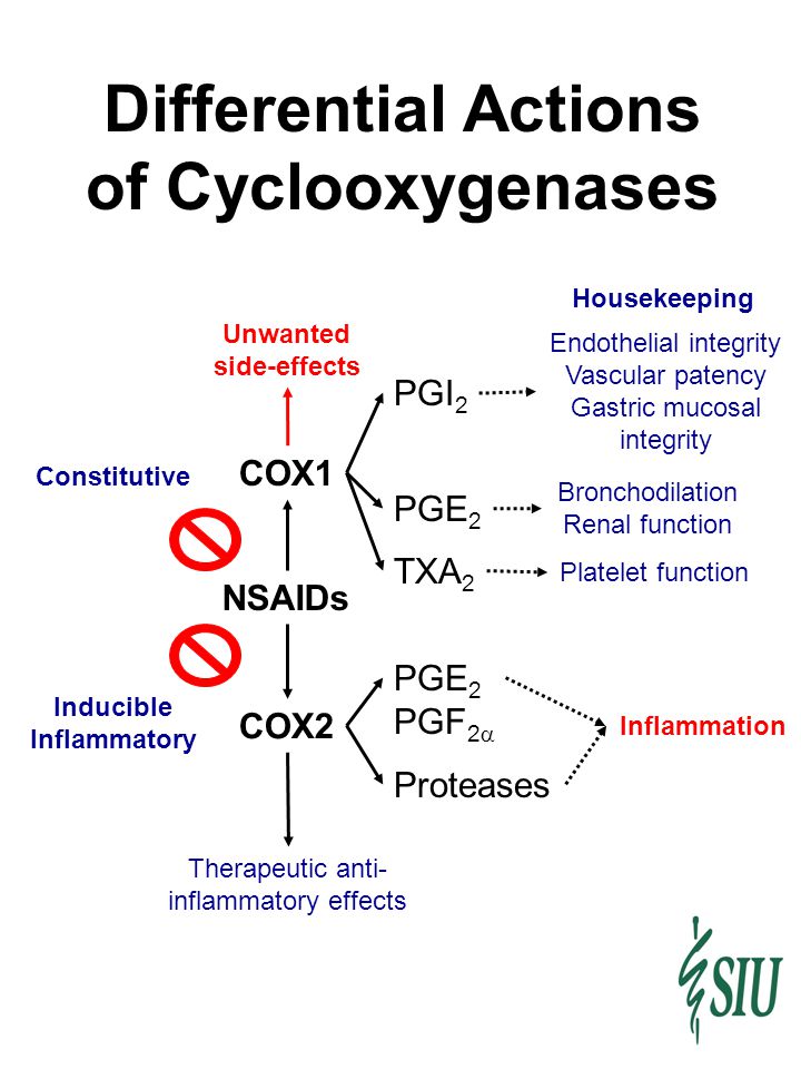 Do You Administer Nsaids Or Steroids To These Patients Ppt