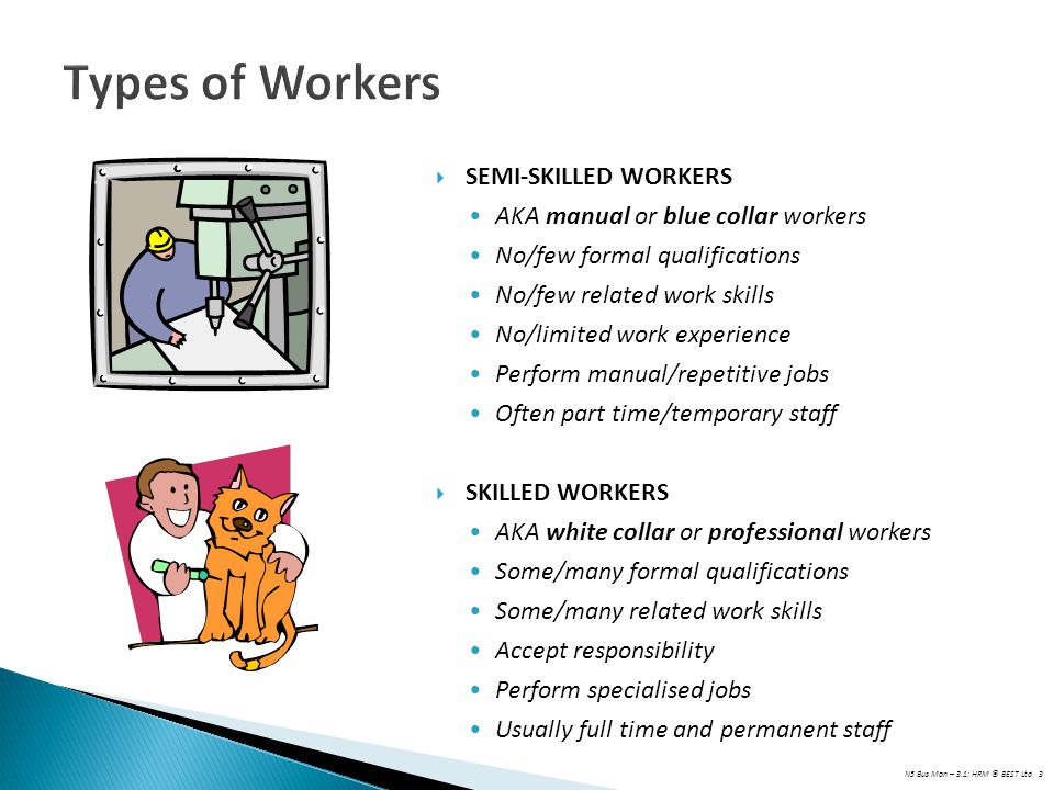Types of Workers SEMI-SKILLED WORKERS