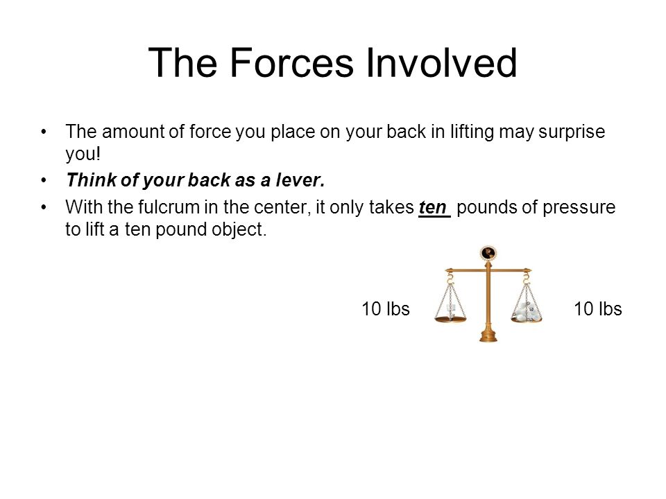 The Forces Involved The amount of force you place on your back in lifting may surprise you! Think of your back as a lever.