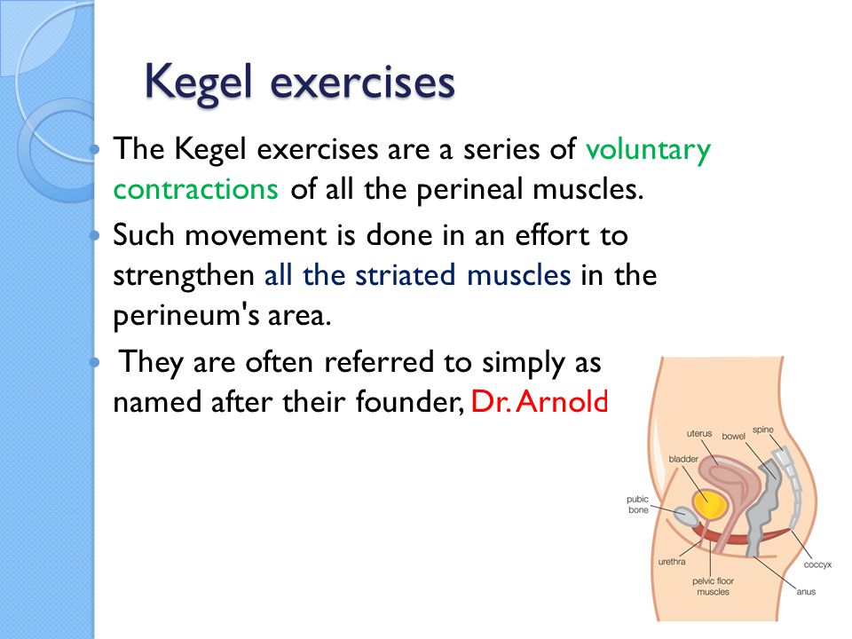 Define Kegels