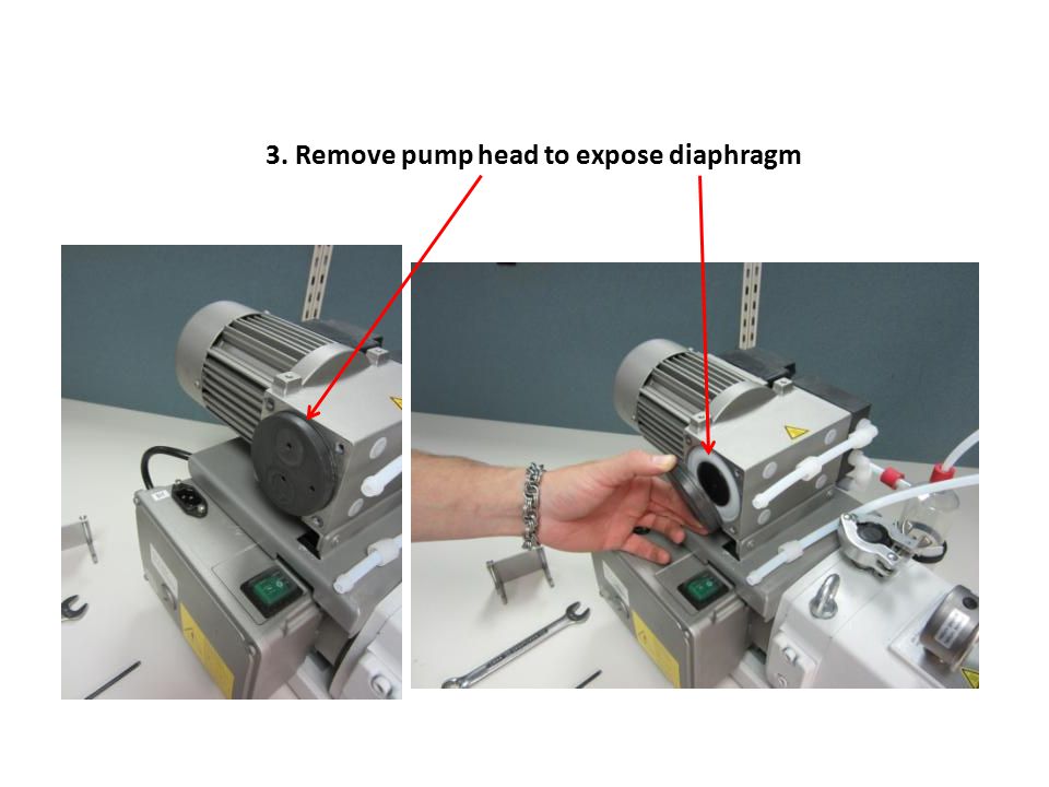 3. Remove pump head to expose diaphragm