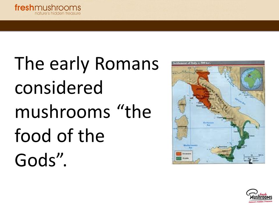 The early Romans considered mushrooms the food of the Gods .