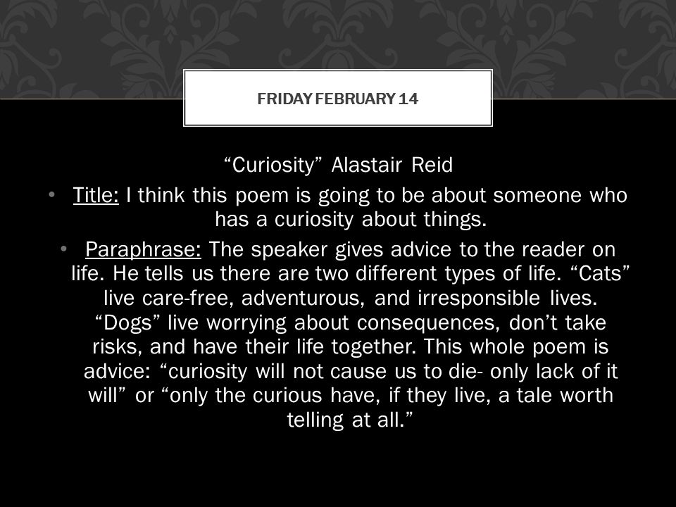 Curiosity Alastair Reid
