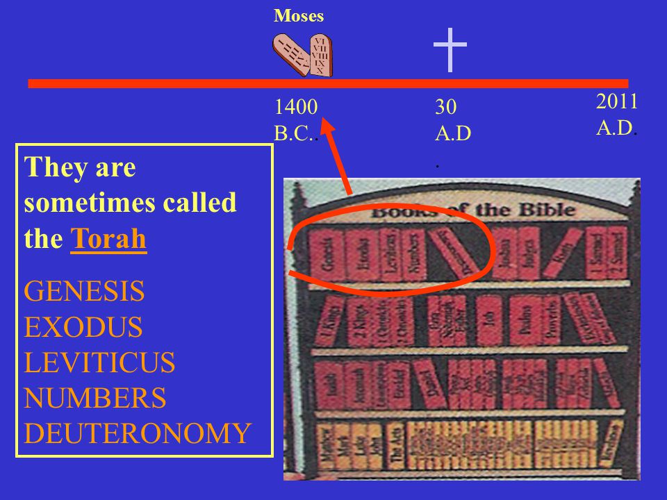 They are sometimes called the Torah