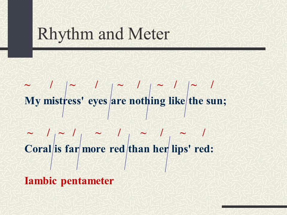 Rhythm and Meter ~ / ~ / ~ / ~ / ~ /
