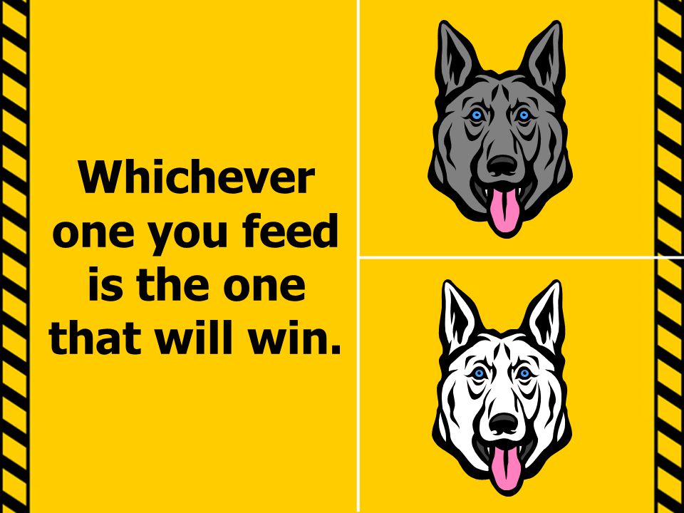 Whichever one you feed is the one that will win.