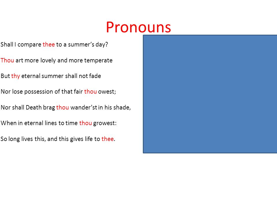 Pronouns Shall I compare you to a summer’s day