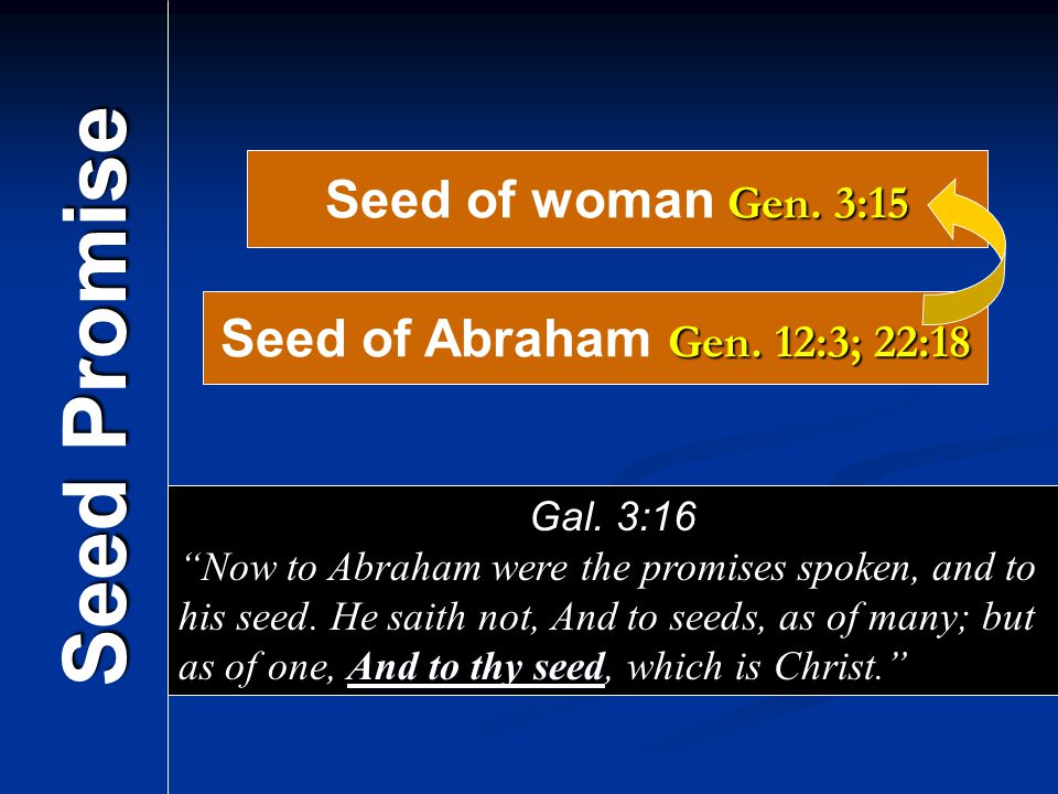 Seed Promise Seed of woman Gen. 3:15 Seed of Abraham Gen. 12:3; 22:18