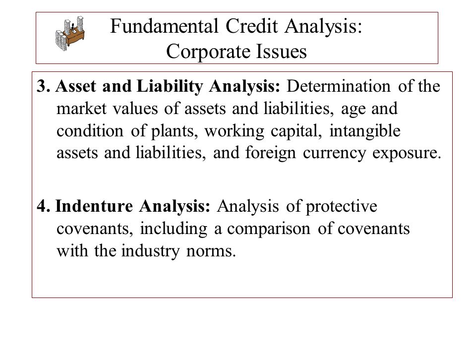 Fundamental Credit Analysis: Corporate Issues