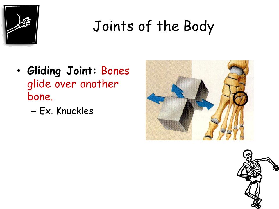 Joints of the Body Gliding Joint: Bones glide over another bone.