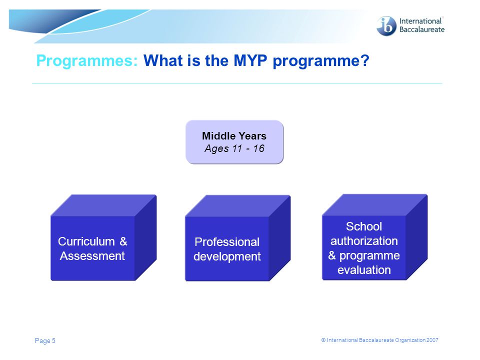 Programmes: What is the MYP programme