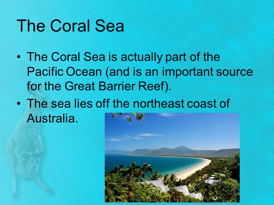 The Coral Sea The Coral Sea is actually part of the Pacific Ocean (and is an important source for the Great Barrier Reef).