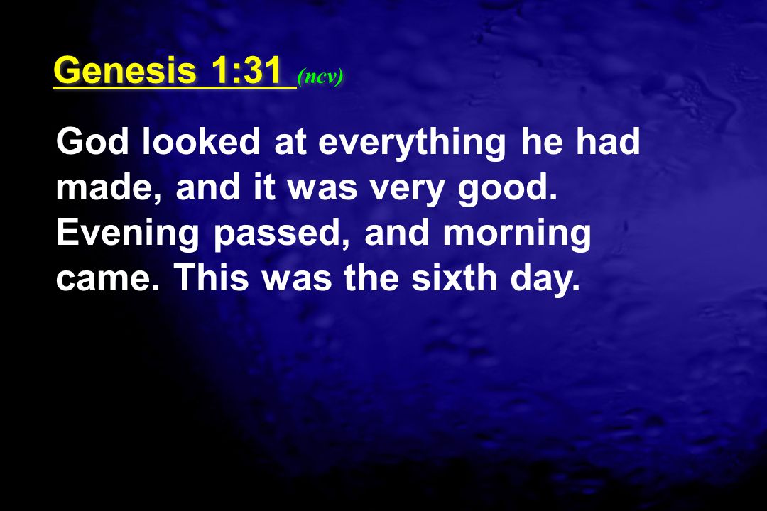 Genesis 1:31 (ncv) God looked at everything he had made, and it was very good.