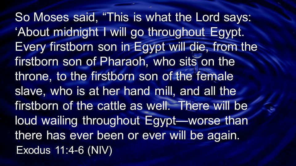 So Moses said, This is what the Lord says: ‘About midnight I will go throughout Egypt. Every firstborn son in Egypt will die, from the firstborn son of Pharaoh, who sits on the throne, to the firstborn son of the female slave, who is at her hand mill, and all the firstborn of the cattle as well. There will be loud wailing throughout Egypt—worse than there has ever been or ever will be again.