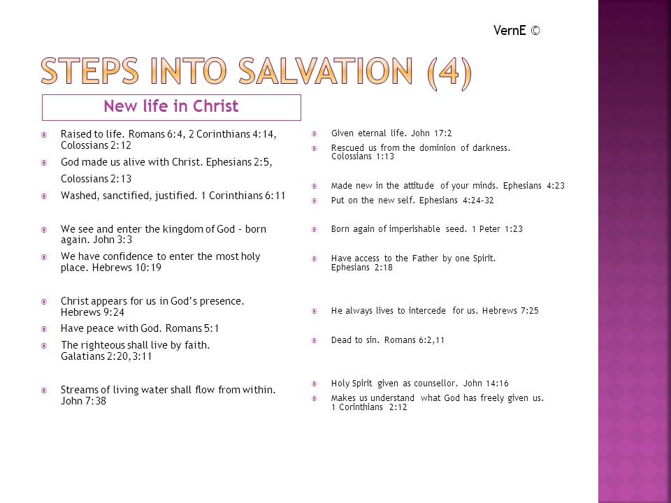 STEPS INTO SALVATION (4)