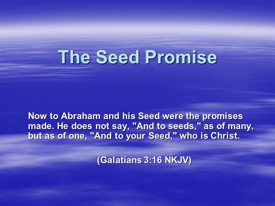The Seed Promise