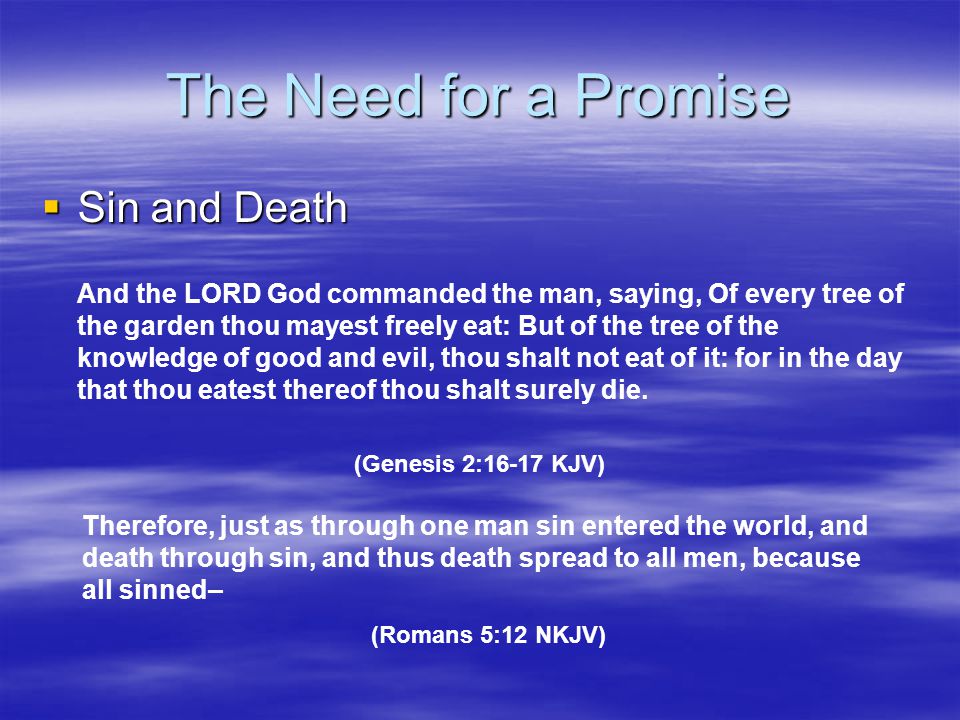 The Need for a Promise Sin and Death