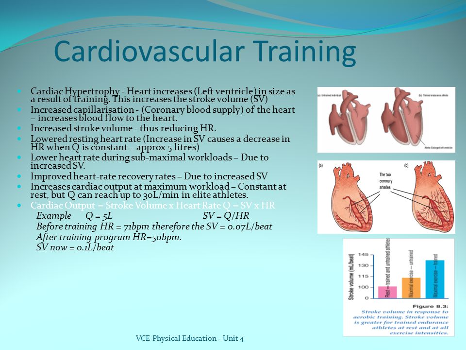 Cardiovascular Training
