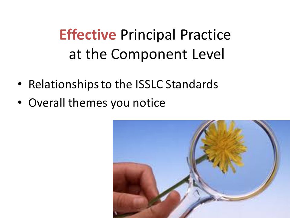 Effective Principal Practice at the Component Level
