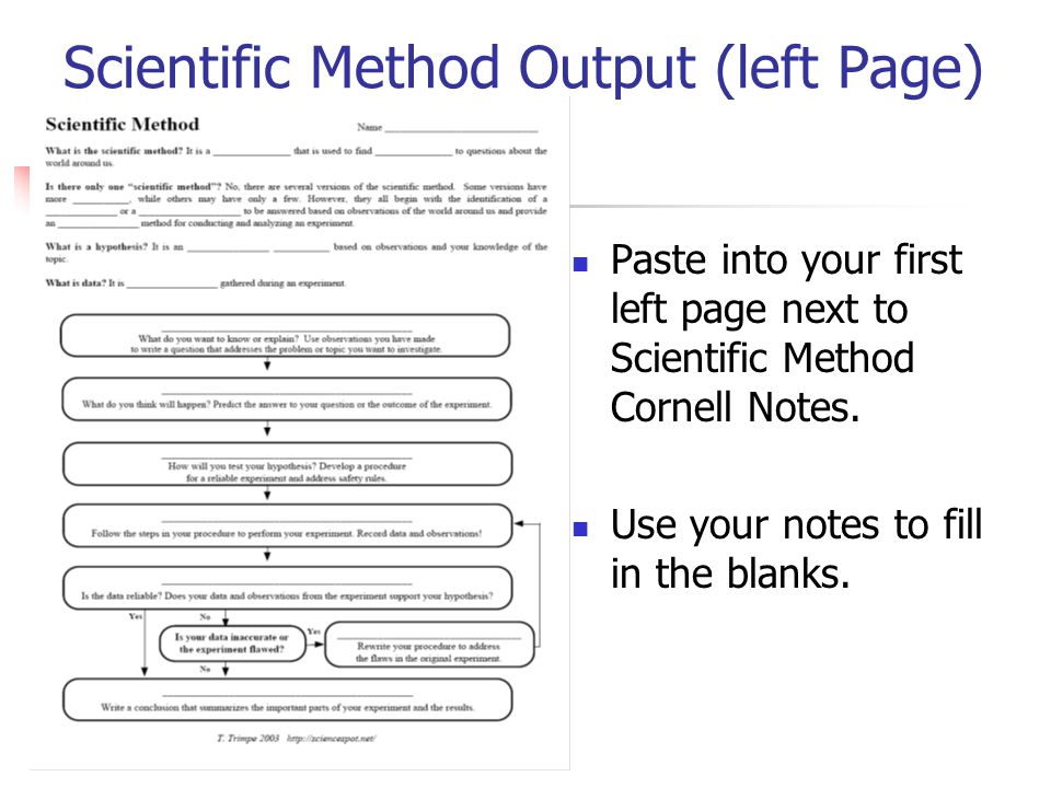 Scientific Method Output (left Page)