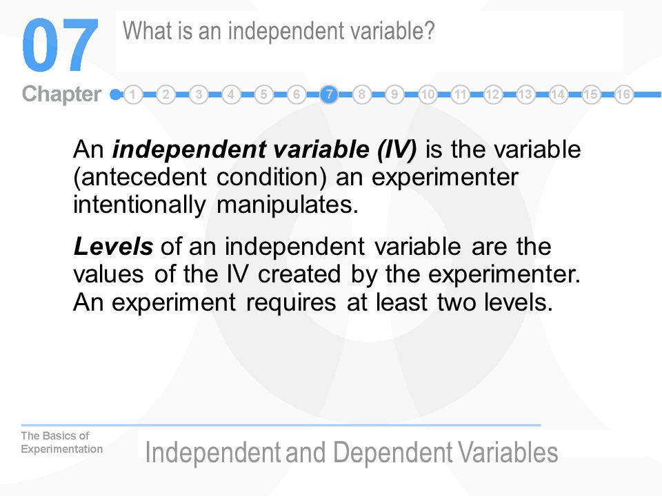 What is an independent variable