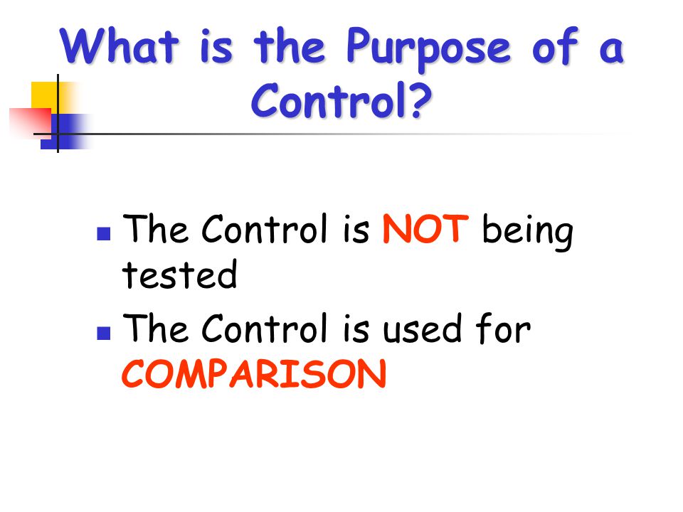 What is the Purpose of a Control