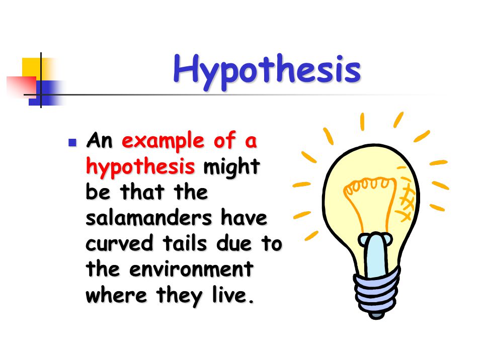 Hypothesis An example of a hypothesis might be that the salamanders have curved tails due to the environment where they live.