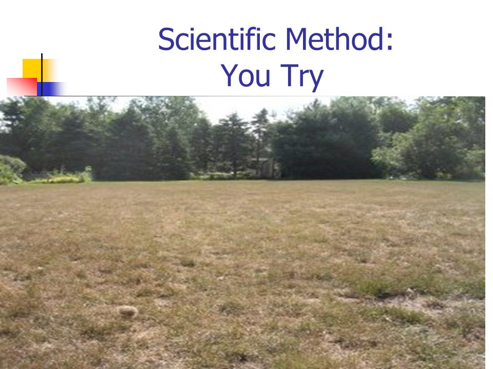 Scientific Method: You Try