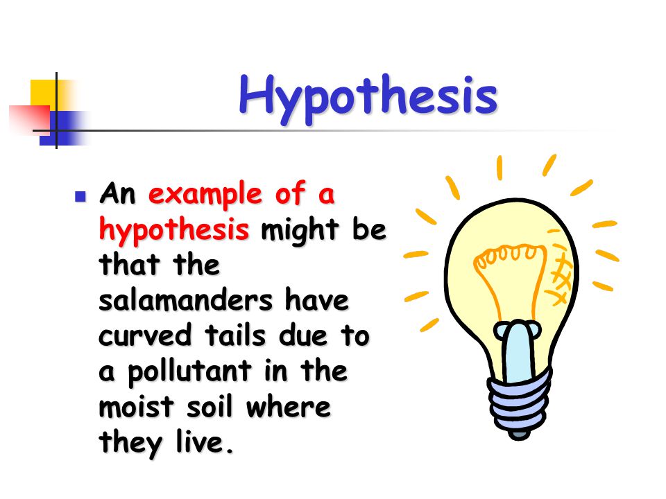 Hypothesis An example of a hypothesis might be that the salamanders have curved tails due to a pollutant in the moist soil where they live.