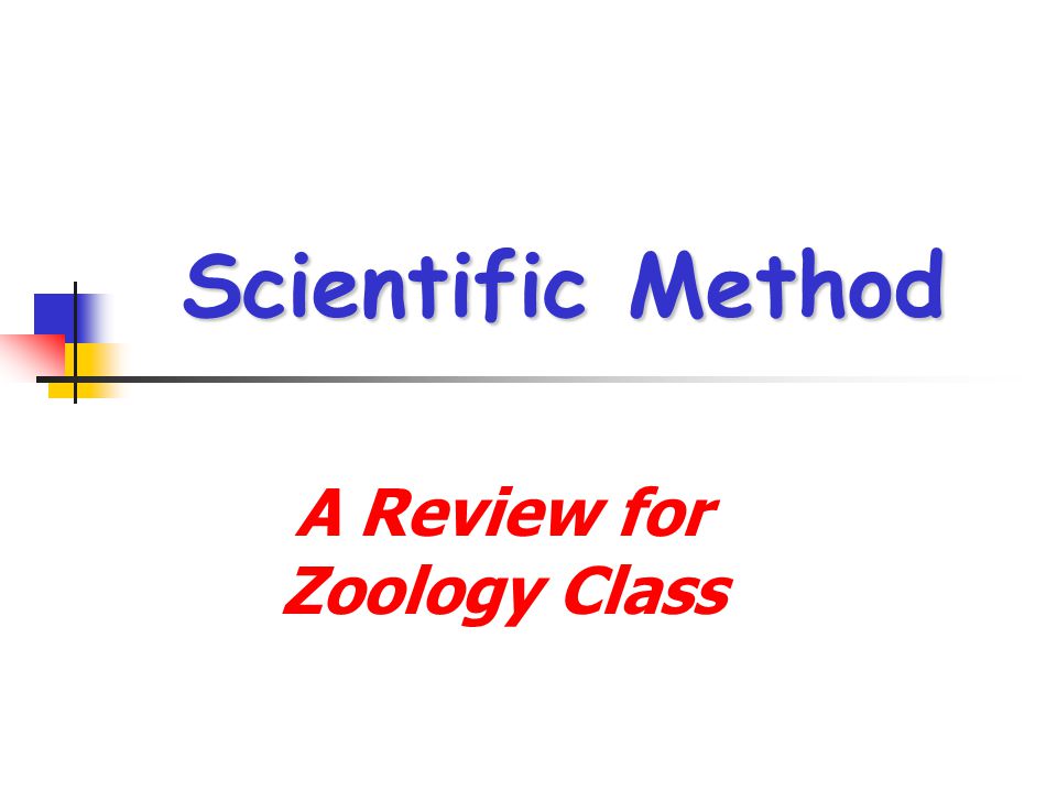 A Review for Zoology Class