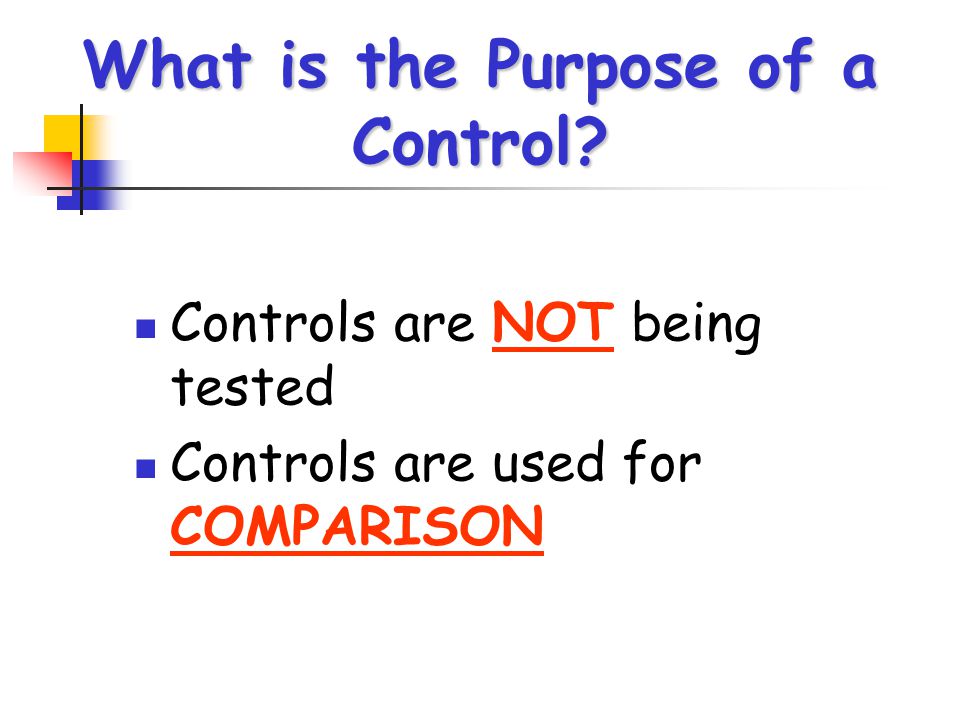 What is the Purpose of a Control