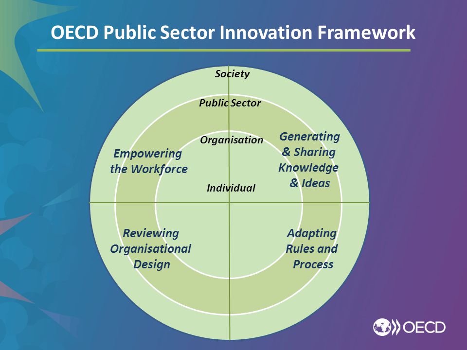 Innovation Framework. Data-Driven public sector. Types of public sector Organization. Desing adaptation.