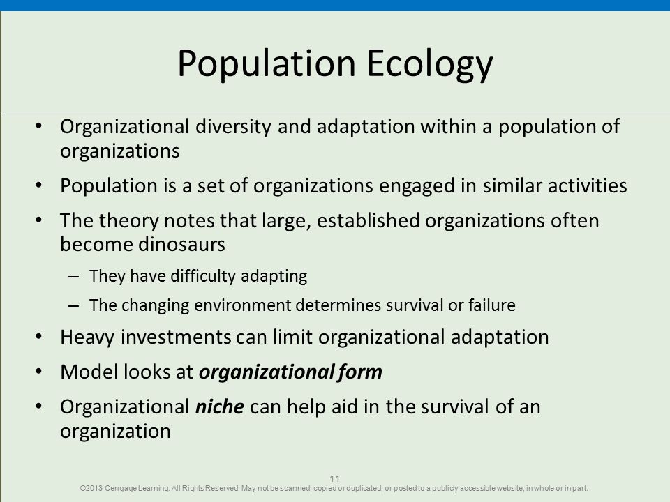 Population Ecology Organizational diversity and adaptation within a population of organizations.
