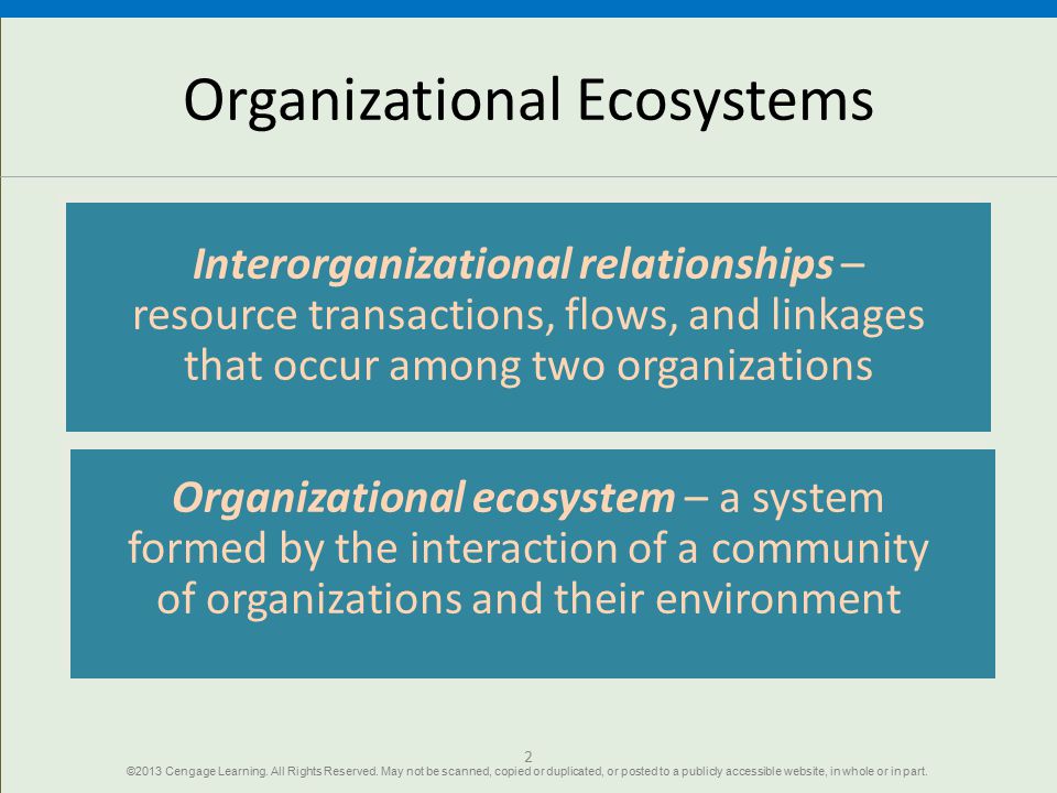 Organizational Ecosystems
