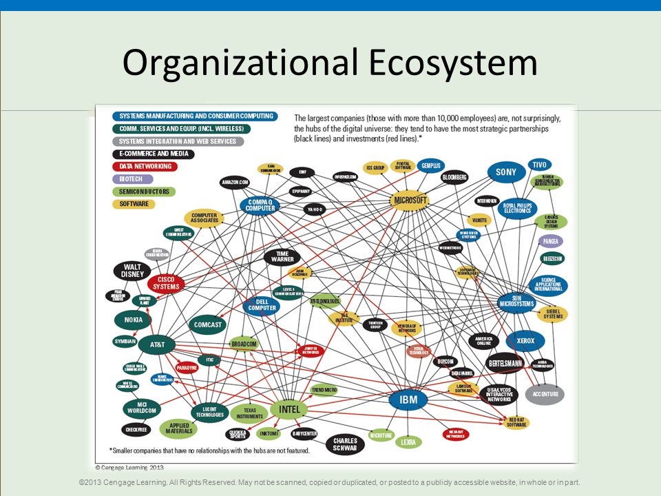 Organizational Ecosystem