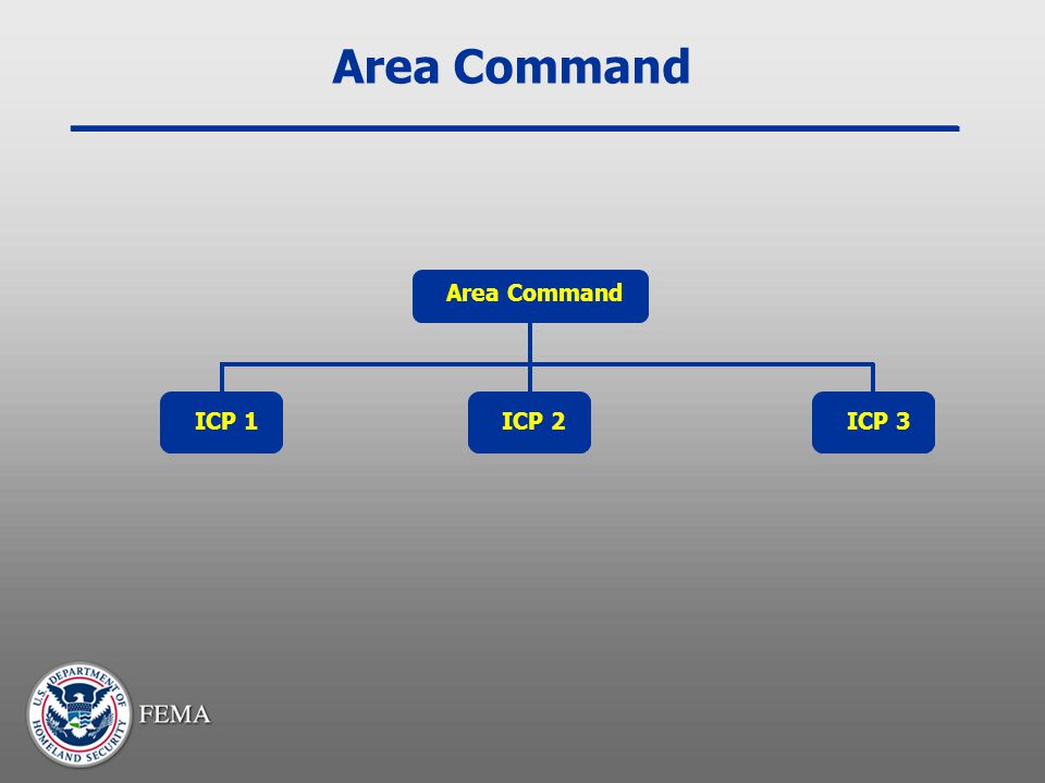Area Command Area Command ICP 1 ICP 2 ICP 3