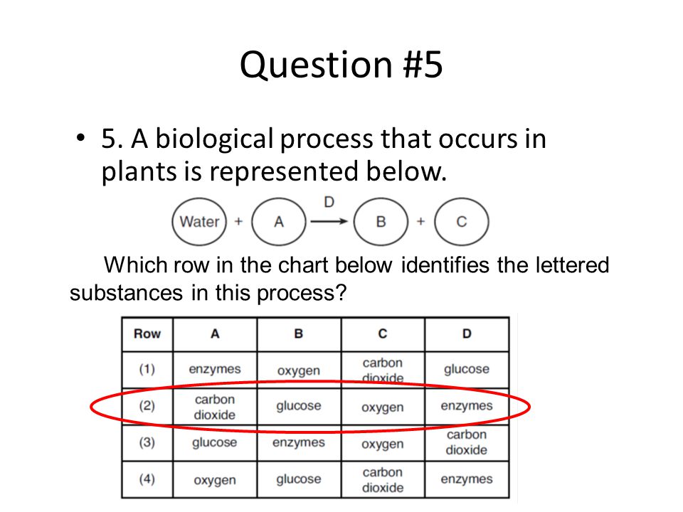 Sample Eoc Questions Ppt Download