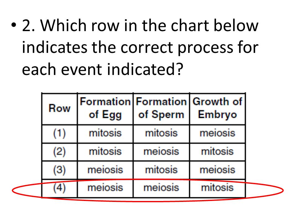 Sample Eoc Questions Ppt Download