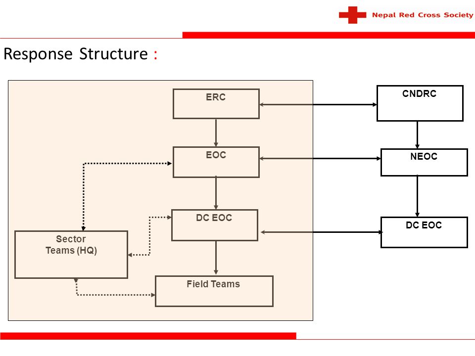 Red Cross Organizational Chart